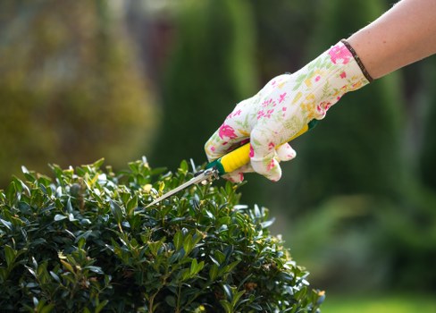 Gardener carrying out a safety check before starting work