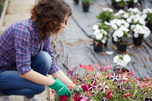 Well-shaped hedge care service in Shadwell