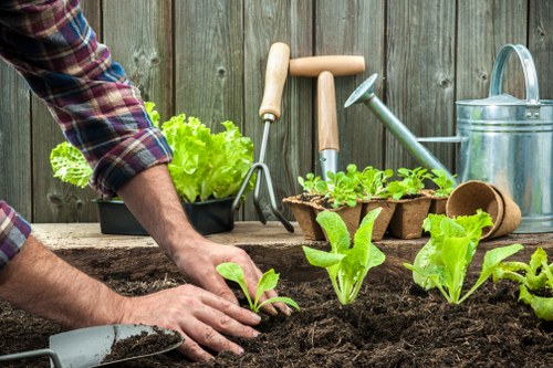Professional garden maintenance in Shadwell during seasonal care