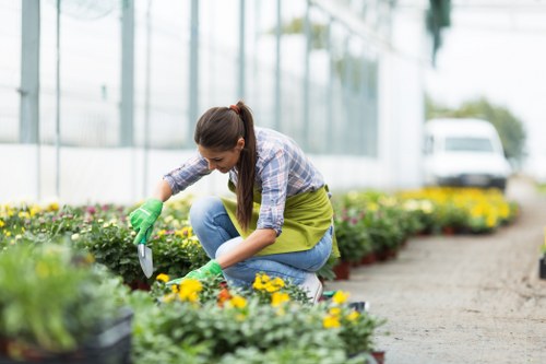 Professional gardening services improving a Shadwell garden
