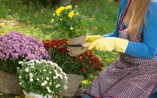 Lawn mowing and hard surface upkeep for Shadwell gardens