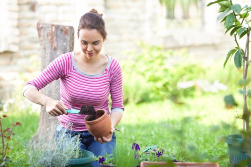 Professional hedge cutting and shaping in Shadwell