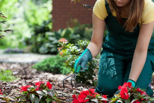 Inclusive Gardeners Shadwell service information with accessibility support