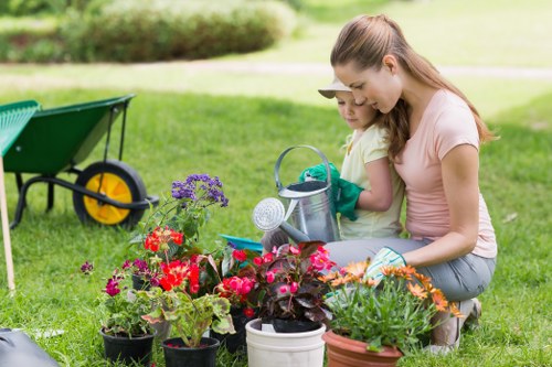 Seasonal lawn treatment and aeration for Shadwell lawns