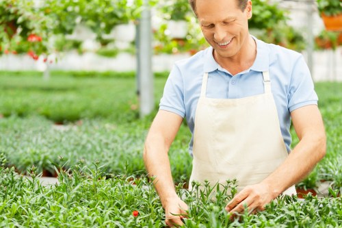 Professional garden care and pruning in Shadwell