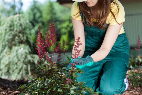 Professional grass cutting for a tidy Shadwell property