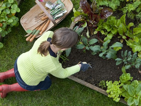 Seasonal garden care in Shadwell with healthy outdoor planting