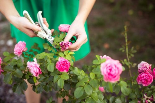 Accepted payment methods for Gardeners Shadwell services