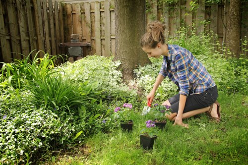 Regular hedge maintenance for a tidy Shadwell property