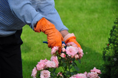 Fresh green lawn care results in a Shadwell outdoor space