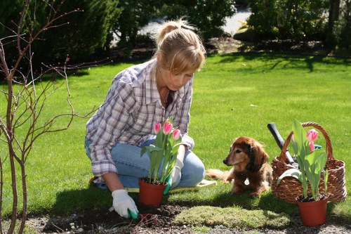 A healthy and well-kept garden maintained by Gardeners Shadwell