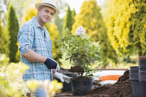 Seasonal lawn mowing care for a local Shadwell garden