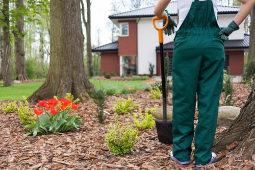 Formal review of a garden maintenance complaint