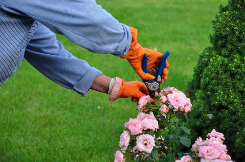Pruning and shaping shrubs in a Shadwell outdoor space