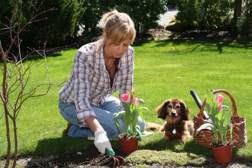 Waste disposal rules for garden maintenance services