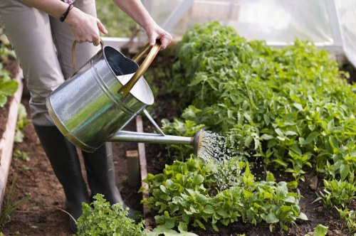 Shadwell gardening content designed for accessible navigation
