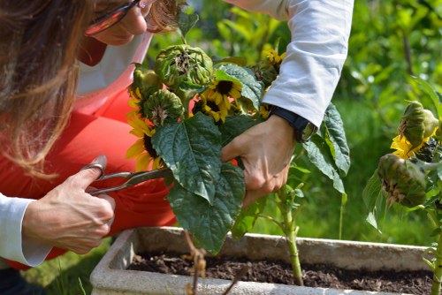 Keyboard navigable Gardeners Shadwell accessibility notice