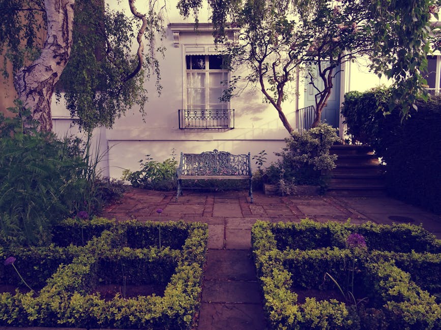 A close-up view of a lush front garden featuring vibrant yellow flowering plants with fluffy blooms and dark green, glossy leaves, situated in front of a traditional red-brick terraced house. The gard